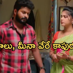 Gundeninda GudiGantalu Today episode: బాలుకు సీక్రెట్ రీవిల్ చేసిన మీనా.. ప్రభావతి ప్లాన్ వర్కౌట్..