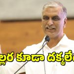 Harish Rao : దేశం కోసం బడ్జెట్ ఎప్పుడు ప్రవేశపెడతారు – కేంద్రానికి హరీష్ రావు ఘాటు ప్రశ్నలు
