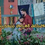 Intinti Ramayanam Today Episode : అవనిని అవమానించిన పార్వతి..అవనిని క్షమించమని అడిగిన అక్షయ్..
