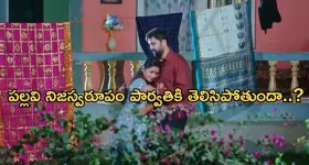 Vishwak Sen: వివాదాన్ని మరింత ముదిరేలా చేస్తున్న విశ్వక్ సేన్.. వారికి మిడిల్ ఫింగర్ చూపిస్తూ పోస్ట్..