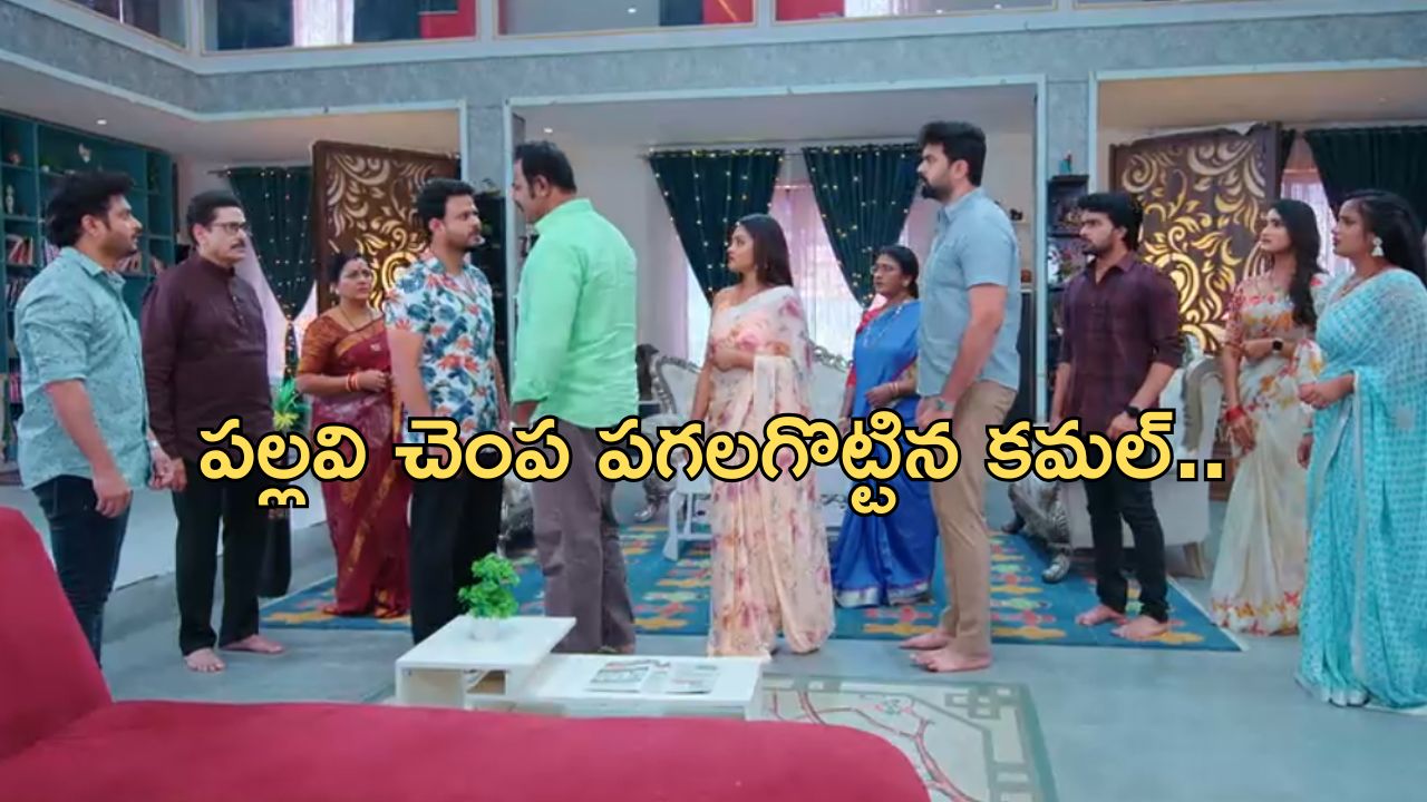 Intinti Ramayanam Today Episode : అవనిని బయటకు వెళ్లగొట్టిన పార్వతి.. పల్లవి ప్లాన్ రివర్స్..