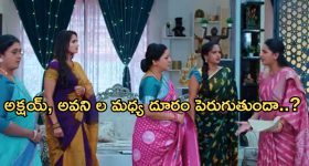 Intinti Ramayanam Today Episode : అవనిని శాశ్వతంగా దూరం చేసేందుకు పల్లవి ప్లాన్.. అవనికి బిగ్ షాక్..