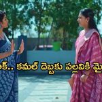 Intinti Ramayanam Today Episode : విడాకుల నోటిస్ పై అవని సీరియస్.. పల్లవిని ఇంట్లోంచి పంపించబోతున్న పల్లవి..