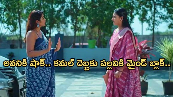 Intinti Ramayanam Today Episode : విడాకుల నోటిస్ పై అవని సీరియస్.. పల్లవిని ఇంట్లోంచి పంపించబోతున్న పల్లవి..