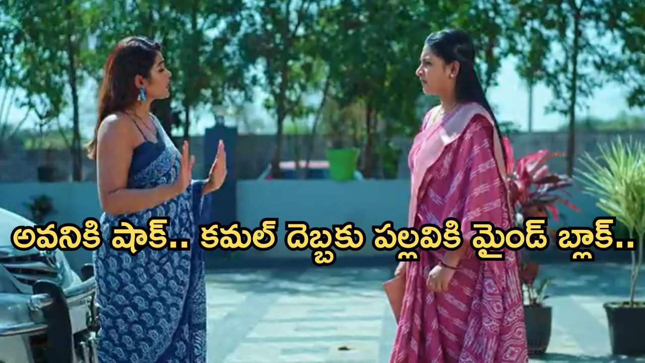 Intinti Ramayanam Today Episode : విడాకుల నోటిస్ పై అవని సీరియస్.. పల్లవిని ఇంట్లోంచి పంపించబోతున్న పల్లవి..