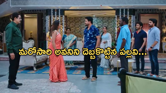 Intinti Ramayanam Today Episode : అవనికి జాబ్ రాకుండా చేసిన పల్లవి.. అక్షయ్ కు బిగ్ షాక్..