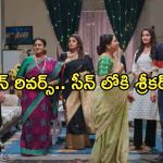 Intinti Ramayanam Today Episode : అవనికి దూరం చేసేందుకు పల్లవి కుట్ర.. పల్లవికి శ్రీకర్ షాక్..