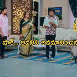 Intinti Ramayanam Today Episode : పల్లవి చెంప పగలగొట్టిన అవని.. పల్లవి బండారం పెట్టబోతున్న శ్రీకర్…