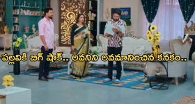 Intinti Ramayanam Today Episode : పల్లవి చెంప పగలగొట్టిన అవని.. పల్లవి బండారం పెట్టబోతున్న శ్రీకర్...