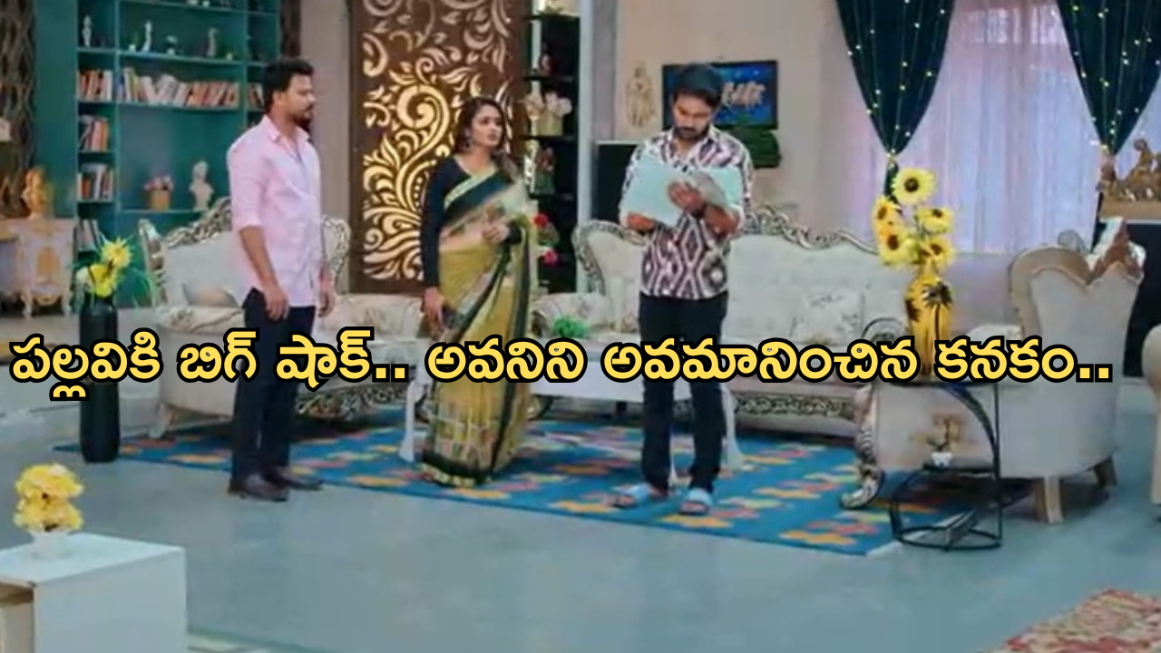 Intinti Ramayanam Today Episode : పల్లవి చెంప పగలగొట్టిన అవని.. పల్లవి బండారం పెట్టబోతున్న శ్రీకర్…