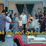 Intinti Ramayanam Today Episode : అవనికి షాకిచ్చిన పల్లవి.. పార్వతి పై అవని సీరియస్..