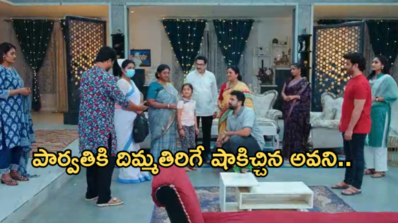 Intinti Ramayanam Today Episode : అవనికి షాకిచ్చిన పల్లవి.. పార్వతి పై అవని సీరియస్..