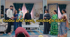 Akira Nandan: ఆశ్చర్యం.. ఒక వారసుడి దర్శకత్వంలో మరో వారసుడు ఎంట్రీ.. పూర్తి వివరాలివే..!
