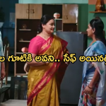 Intinti Ramayanam Today Episode : కమల్ ను మాయ చేసిన పల్లవి.. అవనికి తోడుగా స్వరాజ్యం..