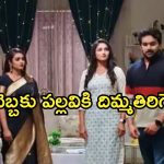Intinti Ramayanam Today Episode : పల్లవికి బిగ్ షాక్.. శ్రీకర్ ప్లాన్ అదుర్స్..