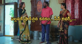 Intinti Ramayanam Today Episode : అవనిని టార్గెట్ చేసిన పల్లవి.. కొత్త క్యారక్టర్ ఎంట్రీ..