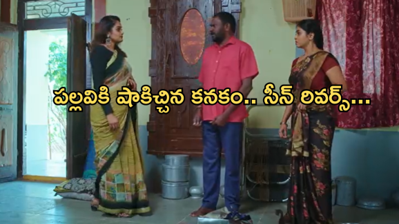 Intinti Ramayanam Today Episode : అవనిని టార్గెట్ చేసిన పల్లవి.. కొత్త క్యారక్టర్ ఎంట్రీ..