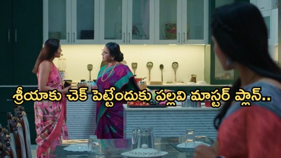 Intinti Ramayanam Today Episode : పల్లవికి షాకిచ్చిన అవని.. శ్రీయను బుట్టలో వేసుకునేందుకు పల్లవి స్కెచ్..