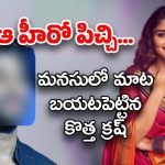 Kayadu Lohar : తెలుగోళ్ల కొత్త క్రష్ కాయదు లోహర్ క్రష్ ఎవరో తెలుసా..?