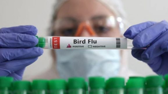 Bird Flu: పసిబిడ్డకు బర్డ్ ఫ్లూ.. జాగ్రత్త, ఎలా సోకిందంటే?