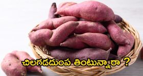 Sweet Potato: చిలగడదుంప తింటే.. మతిపోయే లాభాలు !