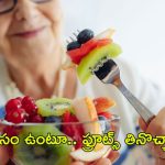 Fruits: ఉపవాసం చేస్తూ.. ఫ్రూట్స్ తినొచ్చా ?
