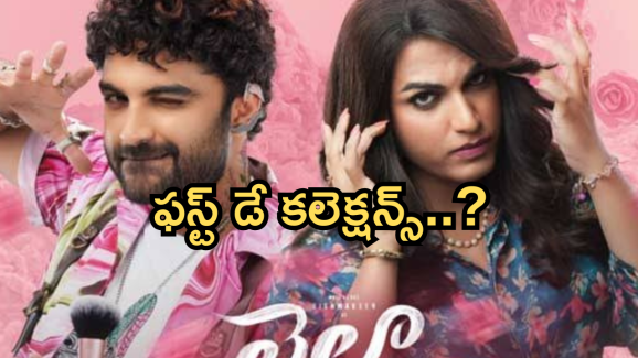 Laila Day 1 Collections : విశ్వక్ ‘ లైలా ‘ మూవీ కలెక్షన్స్.. ఫస్ట్ డే ఎన్ని కోట్లంటే..?