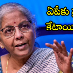 Union Budget 2025 : కేంద్ర బడ్జెట్ లో ఏపీకు ప్రత్యేక కేటాయింపులు