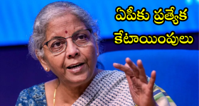 Union Budget 2025 : కేంద్ర బడ్జెట్ లో ఏపీకు ప్రత్యేక కేటాయింపులు
