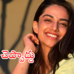 Meenakshi Chaudhary : ‘ప్లీజ్.. నాకు బర్త్ డే విషెస్ చెప్పొద్దు..’ ఫ్యాన్స్ కు షాక్ ఇచ్చిన హీరోయిన్