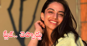 Meenakshi Chaudhary : 'ప్లీజ్.. నాకు బర్త్ డే విషెస్ చెప్పొద్దు..' ఫ్యాన్స్ కు షాక్ ఇచ్చిన హీరోయిన్