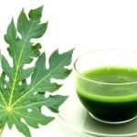 Papaya Leaves Juice: బొప్పాయి ఆకుల రసం తాగితే.. శరీరంలో జరిగే మ్యాజిక్ ఇదే !