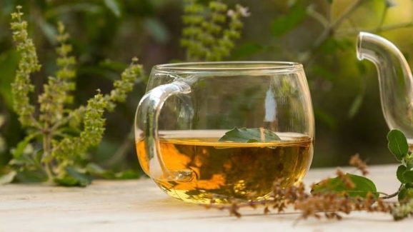 Tulsi Tea: ఈ టీ తాగితే.. ఆరోగ్య సమస్యలు రమ్మన్నా రావు !