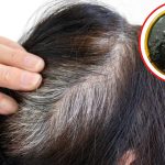 White Hair: తెల్లజుట్టు నల్లగా మార్చడానికి.. వీటిని మించినది లేదు !