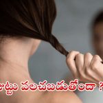Hair Fall: మీ జుట్టు రోజు రోజుకు సన్నబడుతోందా ?  ఇలా చేస్తే.. కొద్ది రోజుల్లోనే బెస్ట్ రిజల్ట్