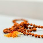 Tulasi Mala: తులసి మాల అందరూ వేసుకోవచ్చా.. ఎలాంటి ప్రయోజనాలు లభిస్తాయి?