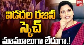 Vidadala Rajini: రంగంలోకి రజినీ.. అంత కోపం ఎందుకో!