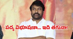 Bird Flu In Eluru: ఏలూరులో వ్యక్తికి బర్డ్ ఫ్లూ.. కలెక్టర్ ఏం చెప్పారంటే?