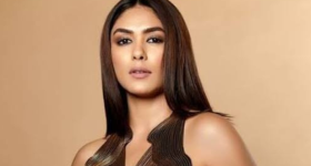 Mrunal Takur : సినిమాలకు గుడ్ బై చెప్పేసిన మృణాల్... కారణం ఇదే..?