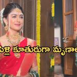Mrunal Takur : సైలెంట్ గా పెళ్లి పీటలు ఎక్కబోతున్న మృణాల్.. వీడియో వైరల్..