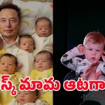 Elon Musk : మస్క్‌కు అంతమంది పిల్లలా? 13వ బిడ్డపై వీడని సస్పెన్స్.. ఆమె ఆరోపణలు నిజమేనా?
