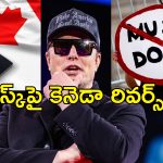 Elon Musk DOGE Canada Citizenship: మస్క్ కు వరుస షాక్ లు.. డొజెలో రాజీనామాలు.. ప్రమాదంలో కెనెడా పౌరసత్వం