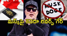 RCB Fans In Pakistan:  పాకిస్థాన్ లో RCB జపం.. ఈ సారైనా కప్ కొట్టాల్సిందే అంటూ ?