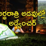 Hyderabad Forest Camping : హైదరాబాదీలకు గుడ్ న్యూస్.. ఇకపై అడవుల్లో నైట్ క్యాంపింగ్ చేసుకోవచ్చు