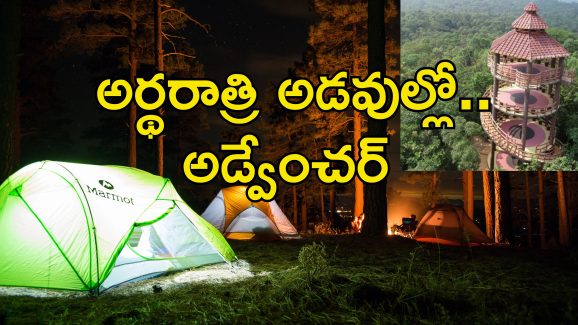 Hyderabad Forest Camping : హైదరాబాదీలకు గుడ్ న్యూస్.. ఇకపై అడవుల్లో నైట్ క్యాంపింగ్ చేసుకోవచ్చు Hyderabad Forest Camping : హైదరాబాదీలకు గుడ్ న్యూస్.. ఇకపై అడవుల్లో నైట్ క్యాంపింగ్ చేసుకోవచ్చు