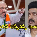 AMIT Shah Calls DMK Corrupt: డిఎంకేలో అందరూ అవినీతి పరులే.. తమిళనాడు ప్రభుత్వంపై విరుచుకుపడిన అమిత్ షా