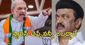 AMIT Shah Calls DMK Corrupt: డిఎంకేలో అందరూ అవినీతి పరులే.. తమిళనాడు ప్రభుత్వంపై విరుచుకుపడిన అమిత్ షా