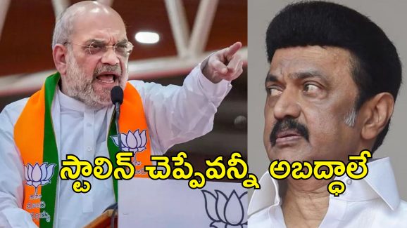 AMIT Shah Calls DMK Corrupt: డిఎంకేలో అందరూ అవినీతి పరులే.. తమిళనాడు ప్రభుత్వంపై విరుచుకుపడిన అమిత్ షా