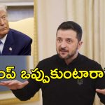 Ukraine Border Security Promise USA : అలా చేస్తేనే ఖనిజాలిస్తాం.. అమెరికాకు షరతులు విధించిన ఉక్రెయిన్