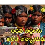 Budget MNREGA Tribal Students: బడ్జెట్‌లో ఉపాధి హామీ పథకం, ఆదివాసీ విద్యార్థులకు అన్యాయం.. కేటాయింపుల్లో భారీ కోత